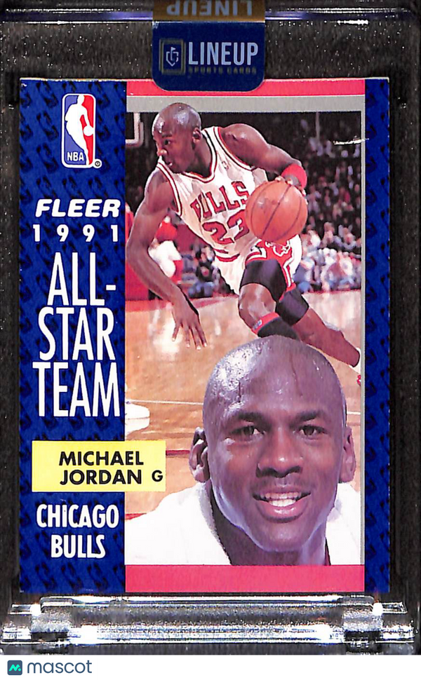 1991 Fleer Michael Jordan #211